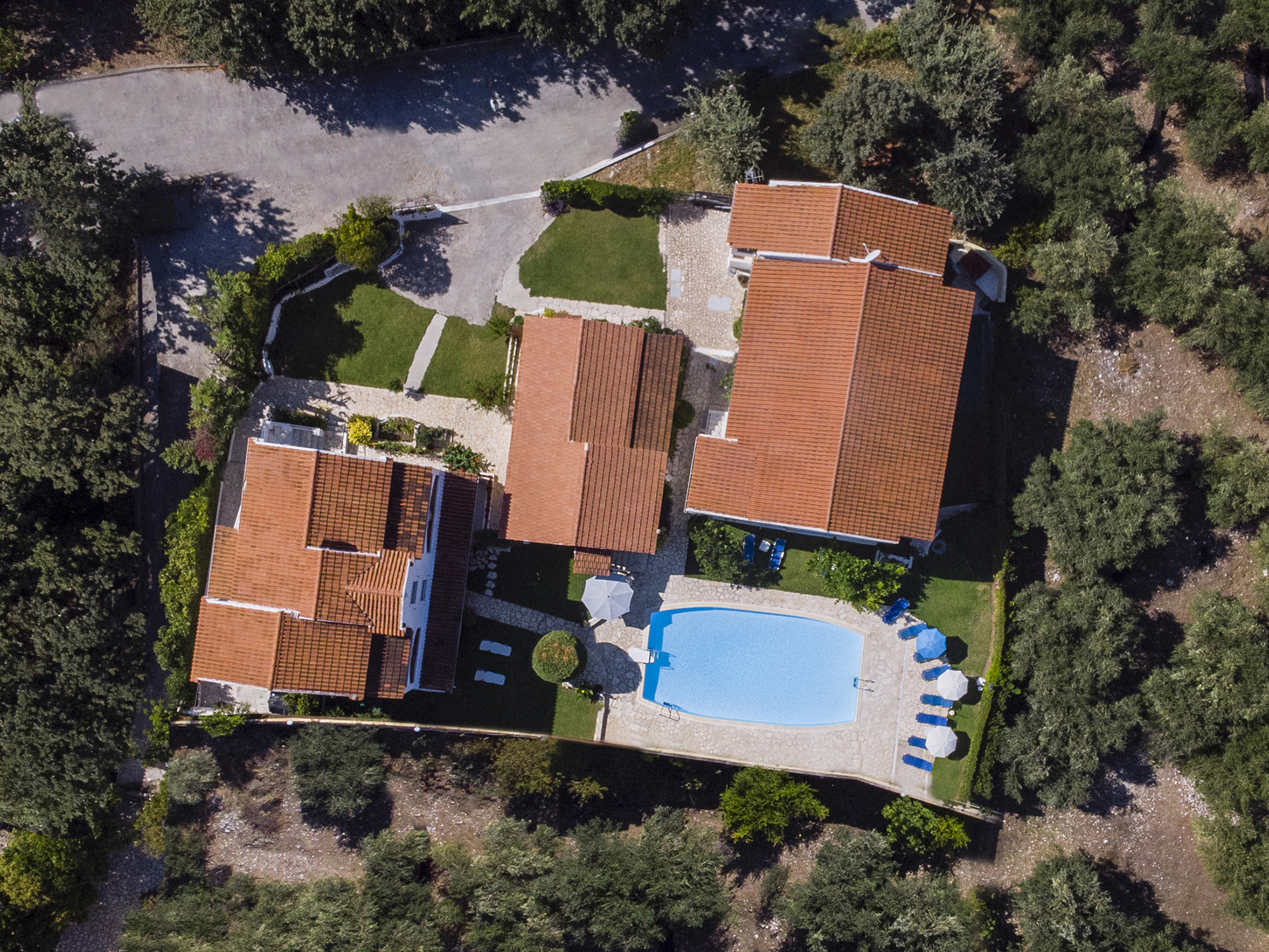 Irene Apartments - Exterior View